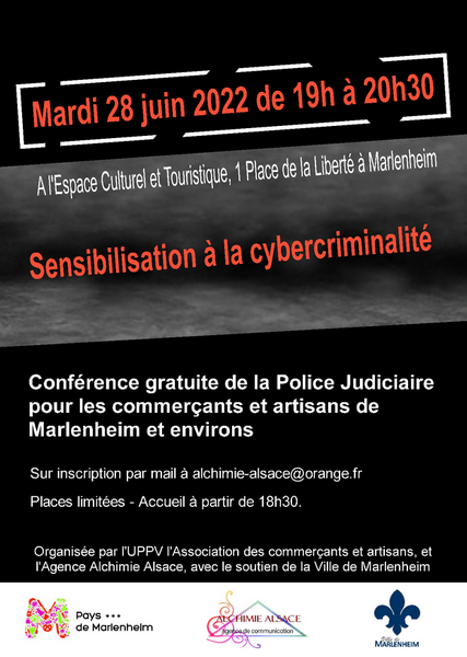 Conférence pour les professionnels 