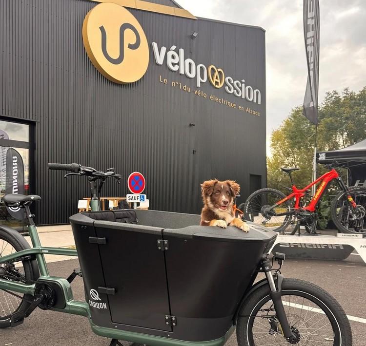 Alsace velo passion marlenheim magasin