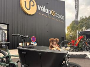 Alsace velo passion marlenheim